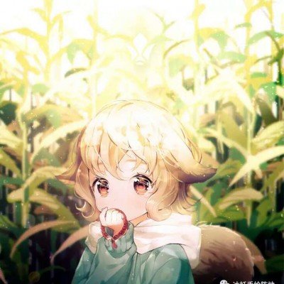 学会通过网络走群众路线